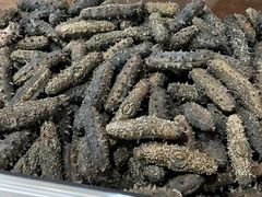 -宫品海参专卖店(静安大宁店)