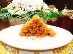 -外滩1288花园丽舍