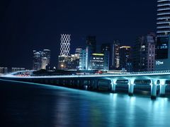 -演武大桥观景平台