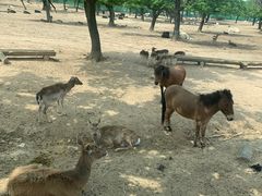 -西安秦岭野生动物园