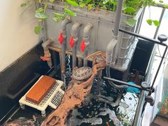 -灵龟之家百象馆(百象馆联合旗舰店)