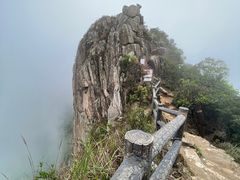 -狮子山郊野公园