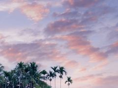 -兴隆槟榔园休闲农庄