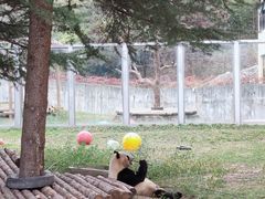 -西安秦岭野生动物园