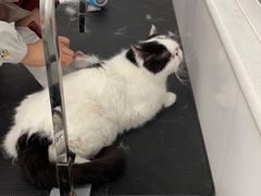 -美联众合24小时·皮肤科·外科·全科诊疗中心(华苑分院)