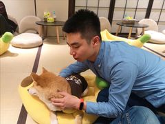 -逗柴咖啡屋·狗咖猫咖宠物桌游