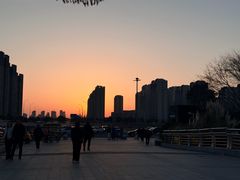 -江滩湿地公园