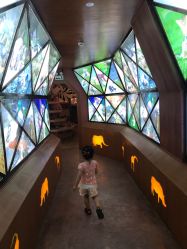 -酷嗒动物文化乐园(cutezoo西溪乐天城店)