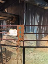 -酷嗒动物文化乐园(cutezoo西溪乐天城店)