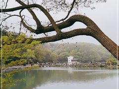 -南京珍珠泉风景区