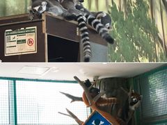 -海合安武汉极地海洋公园