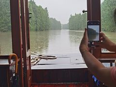 -上海海湾国家森林公园