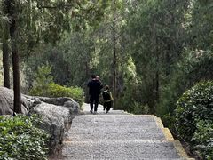 -云龙山