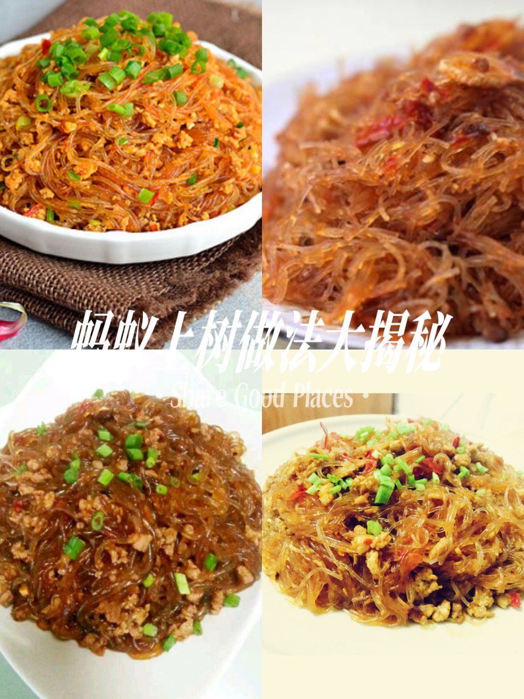 蚂蚁上树做法大揭秘