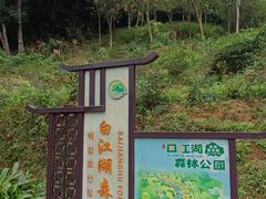 -广州白江湖森林公园