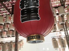 -农汤老店(顺联公园里店)