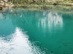 -靖西鹅泉风景区