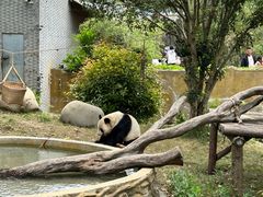 -常州淹城野生动物世界