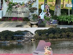 -上海鲜花港