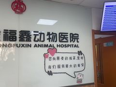 -宠福鑫动物医院(城北分院)