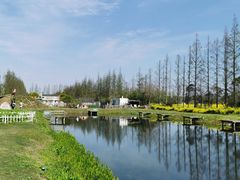 -前小桔亲子创意农场·草莓采摘·露营烧烤
