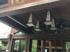 -青城道汤池