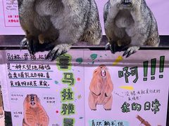 -正佳雨林生态植物园