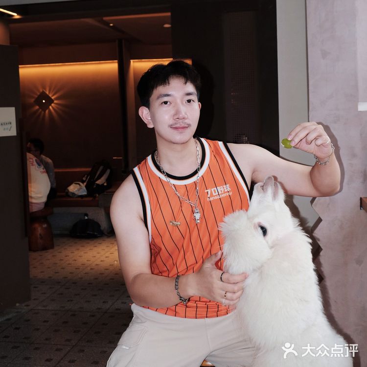 爱的投喂♡一颗水晶葡萄俘获神兽🦙芳心