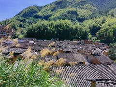 -杨家堂村