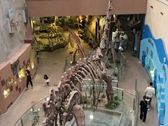 -陕西自然博物馆