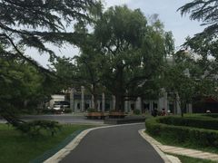 -御花园·粤菜·海鲜火锅(中山公园店)