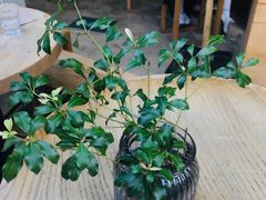 -VOYAGE COFFEE(北锣鼓巷店)