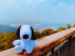 -紫金山天文台