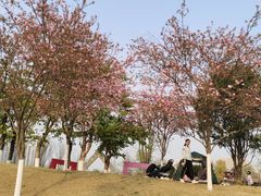 -府河摄影公园