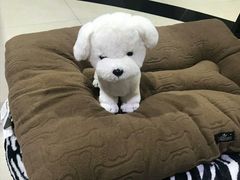 -1013 PET SHOP 宠物商店(近铁城市广场店)