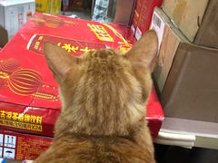 -玉华饮食店(茅台路店)