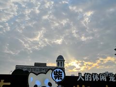 -柴源莊·柴小宠柴犬咖啡