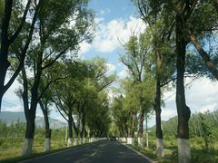 android_upload_pic-百里山水画廊乌龙峡谷