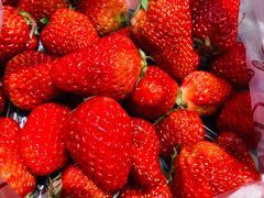 -乐圣量贩KTV自助餐(崇文店)