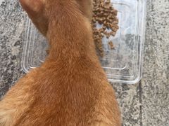 -张钰强中医正骨推拿连锁(唐家人才公寓店)