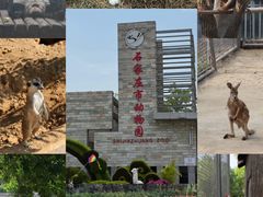 -石家庄市动物园