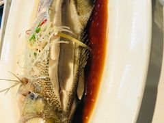 清蒸鲈鱼-大鸭梨烤鸭(枣园店)