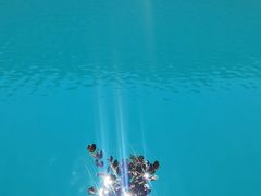 -玉龙雪山蓝月谷