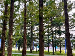 -国家植物园南园