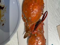 -珊海荟海鲜楼·天津菜·海肠捞饭·皮皮虾锅贴王(佛罗伦萨店)