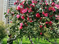 -艾溪湖湿地公园