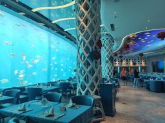 -瑞德姆美人鱼海底演艺主题餐厅(亚龙湾店)