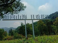 -云溪植物园