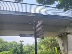 -白鹭湾湿地公园