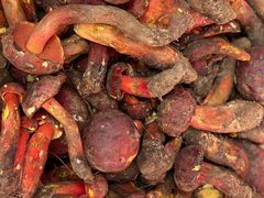 -南坛综合农贸市场